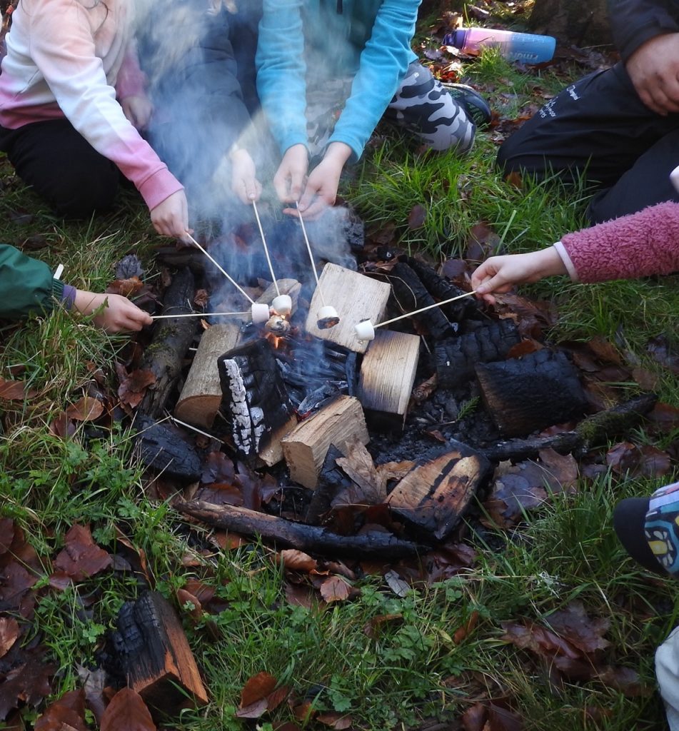 🏡Pixies Holt Residential🏡